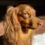 ODIE