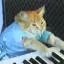 GMECAT