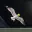 seagull