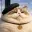 CHATON