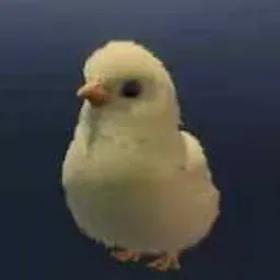 CHICK