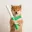 Baton