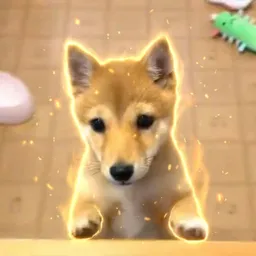 NAGI