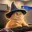 wizardcat