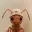 ANT