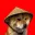 DOGGA