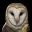 ZOWL