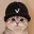 catwifvault