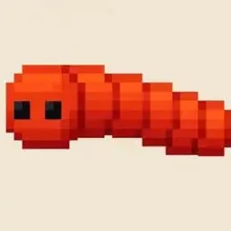 WORM