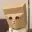 ZCAT