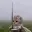 swordcat