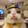 DERP