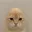 catwifout