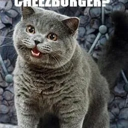 CHEEZ