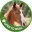 HorsedIn