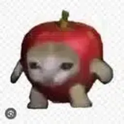 AAPLCAT