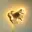 Jax