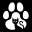 PAWCAT