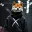 XDOGE