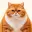 CHONK