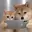 DUO