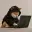 Hackinu