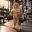 GYMCAT
