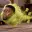 KEVINFART