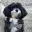 MARVIN
