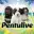 Pentulive
