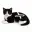 XCAT