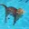 HYDROCAT