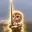 swordowl
