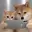 DUO