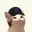 RAYCAT