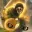 Marmoset