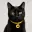 HIGGSCAT