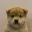 WUF