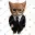 STOCKCAT