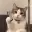 LCAT
