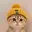 CATWIFSAP