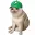 PUMPCAT