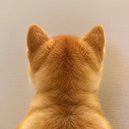 BAKDINU