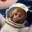 moonkey