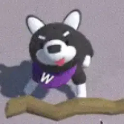 goHusky