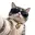 TIKCAT