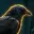 CrowBrain
