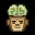 CHIMPBRAIN