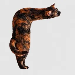 RCAT