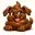 DOGPOOP